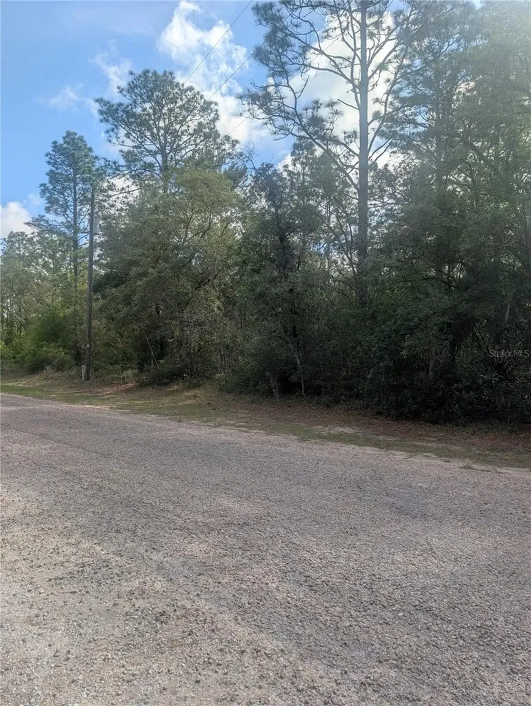 8791 N Folland Drive Dunnellon FL 34433