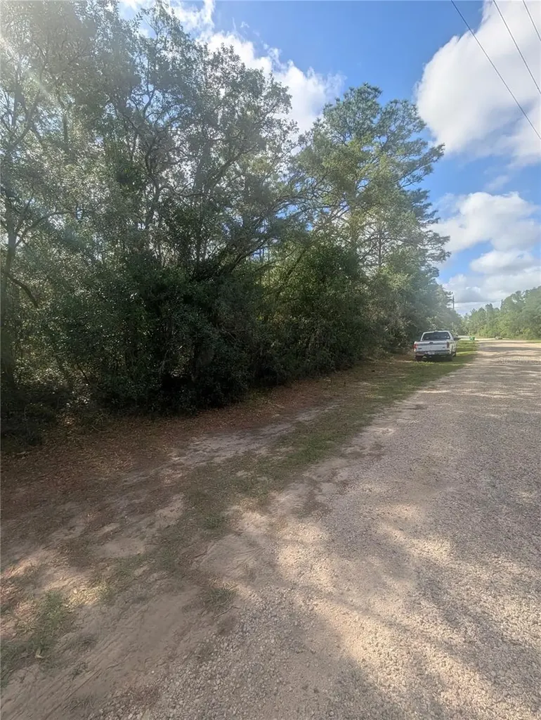 8791 N Folland Drive Dunnellon FL 34433