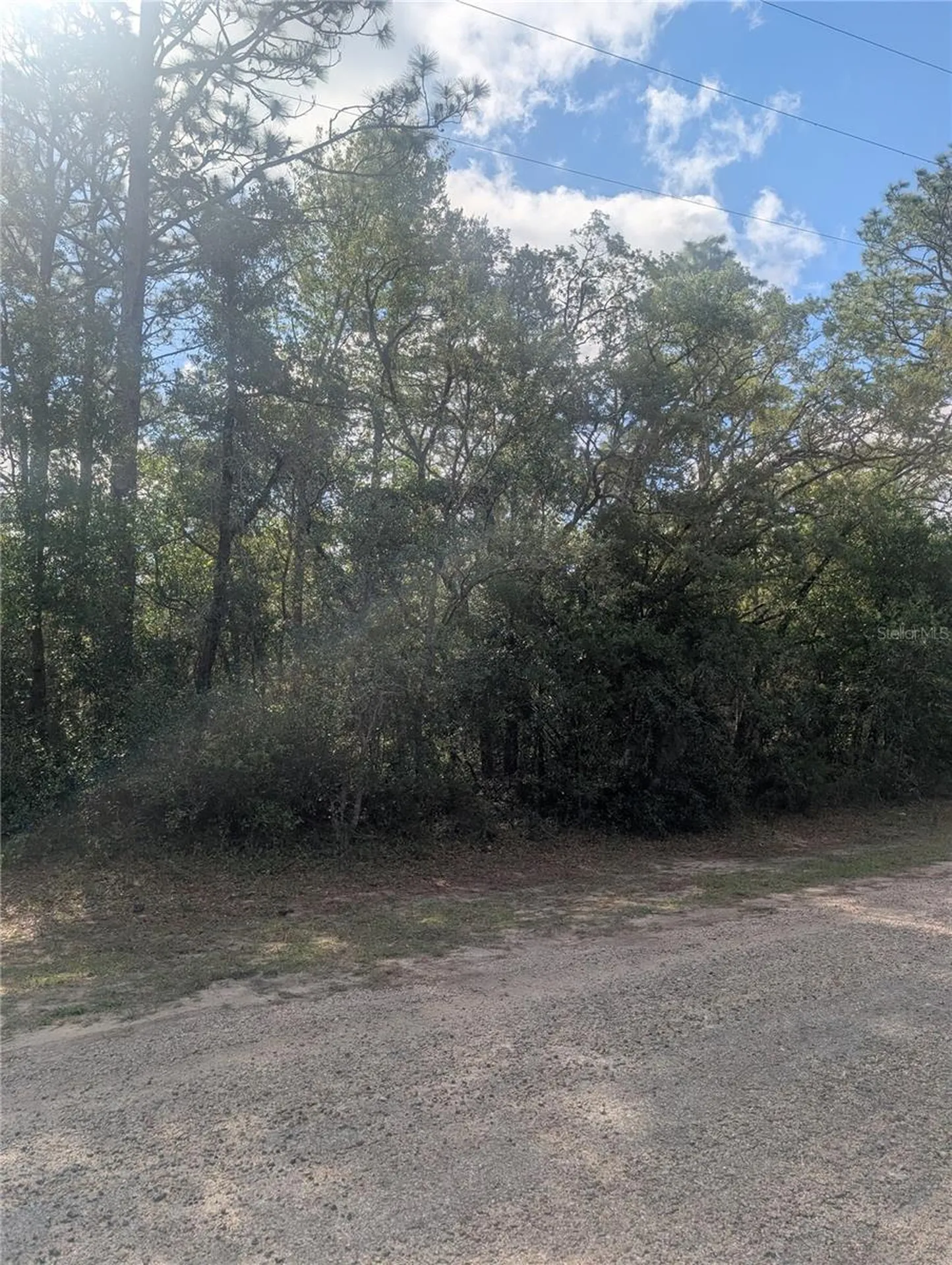 8791 N Folland Drive Dunnellon FL 34433