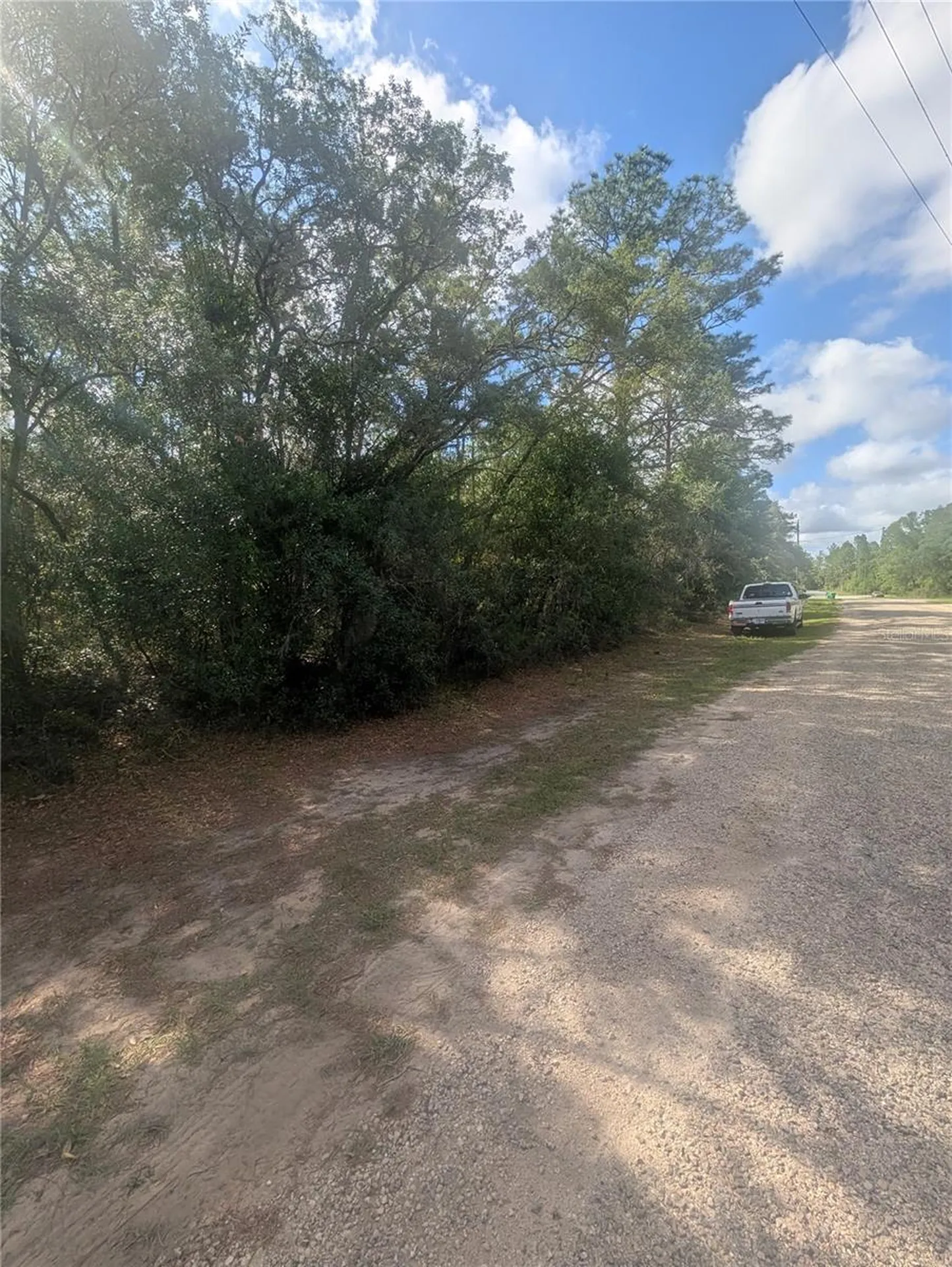 8791 N Folland Drive Dunnellon FL 34433