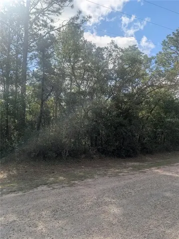 8791 N Folland Drive Dunnellon FL 34433
