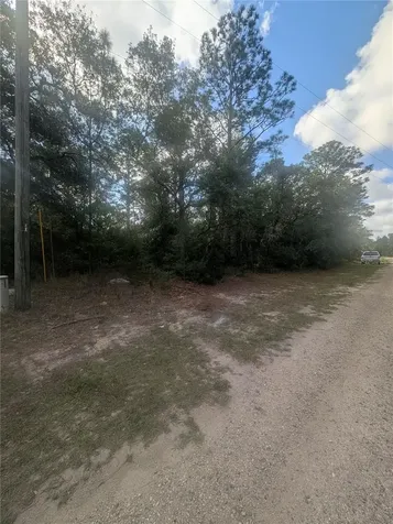 8791 N Folland Drive Dunnellon FL 34433