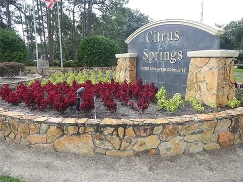 8791 N Folland Drive Dunnellon FL 34433