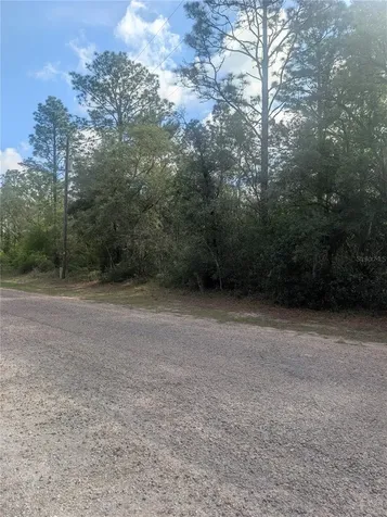 8791 N Folland Drive Dunnellon FL 34433