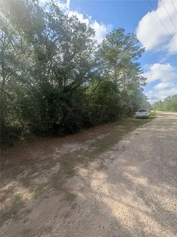 8791 N Folland Drive Dunnellon FL 34433