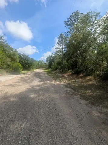 8791 N Folland Drive Dunnellon FL 34433