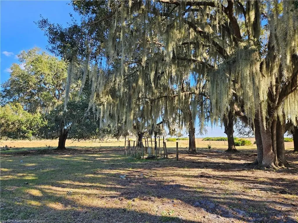 320 Grigsby Road Venus FL 33960