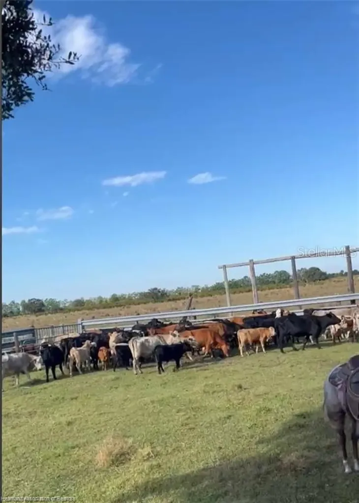 320 Grigsby Road Venus FL 33960