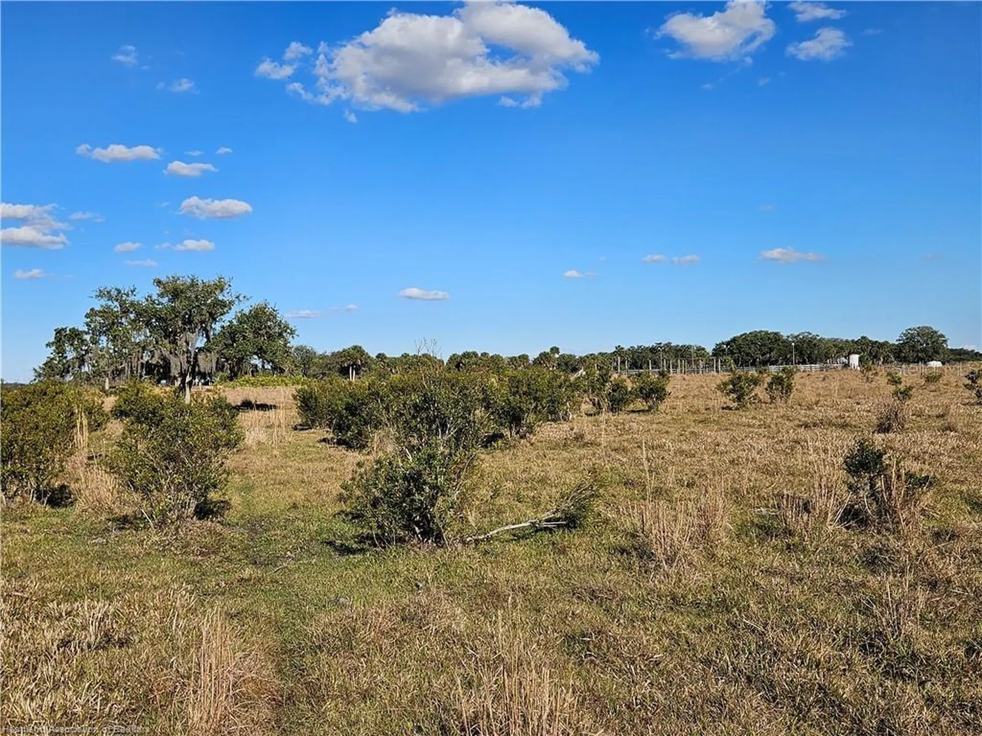 320 Grigsby Road Venus FL 33960