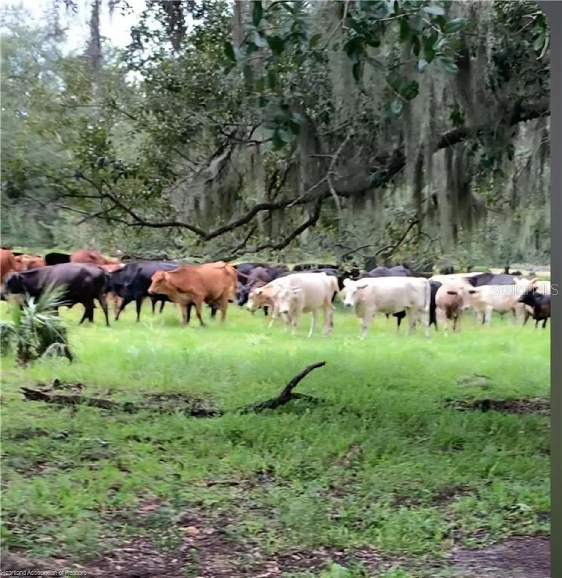 320 Grigsby Road Venus FL 33960