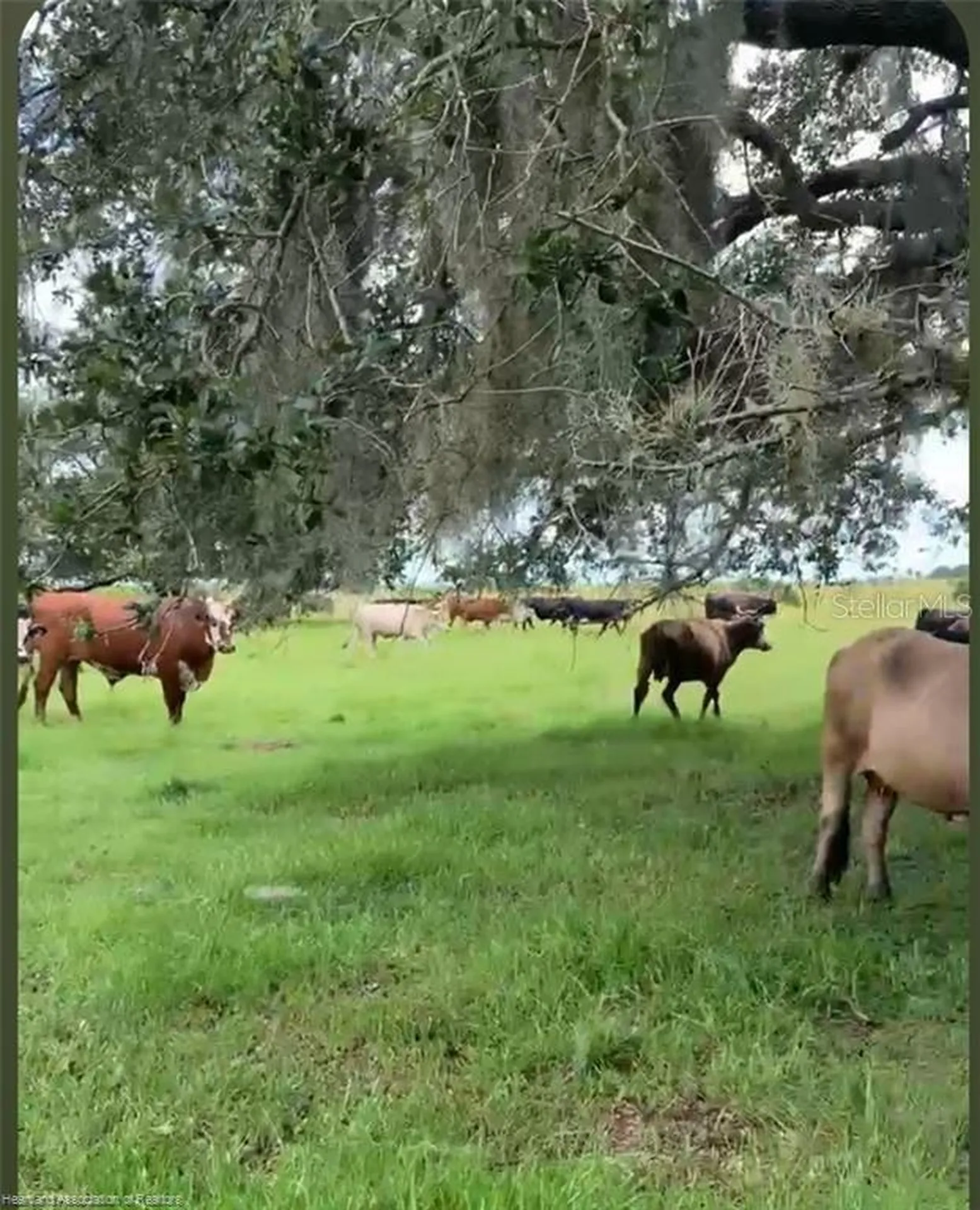 320 Grigsby Road Venus FL 33960