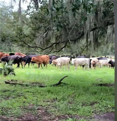 320 Grigsby Road Venus FL 33960