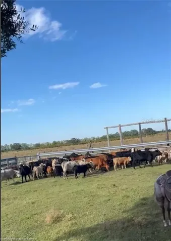 320 Grigsby Road Venus FL 33960