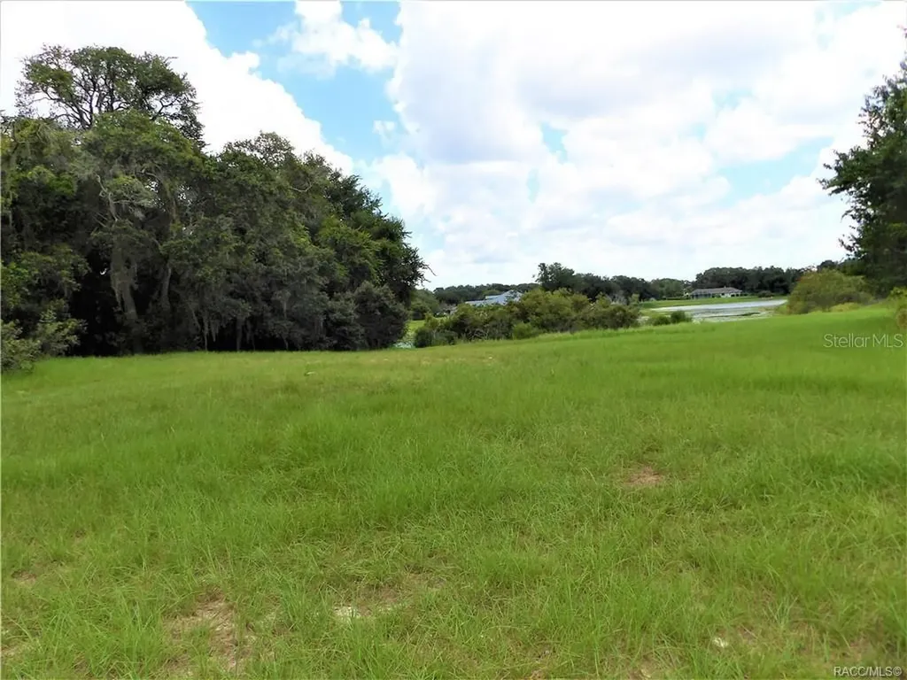 9546 E Baymeadows Drive Inverness FL 34450