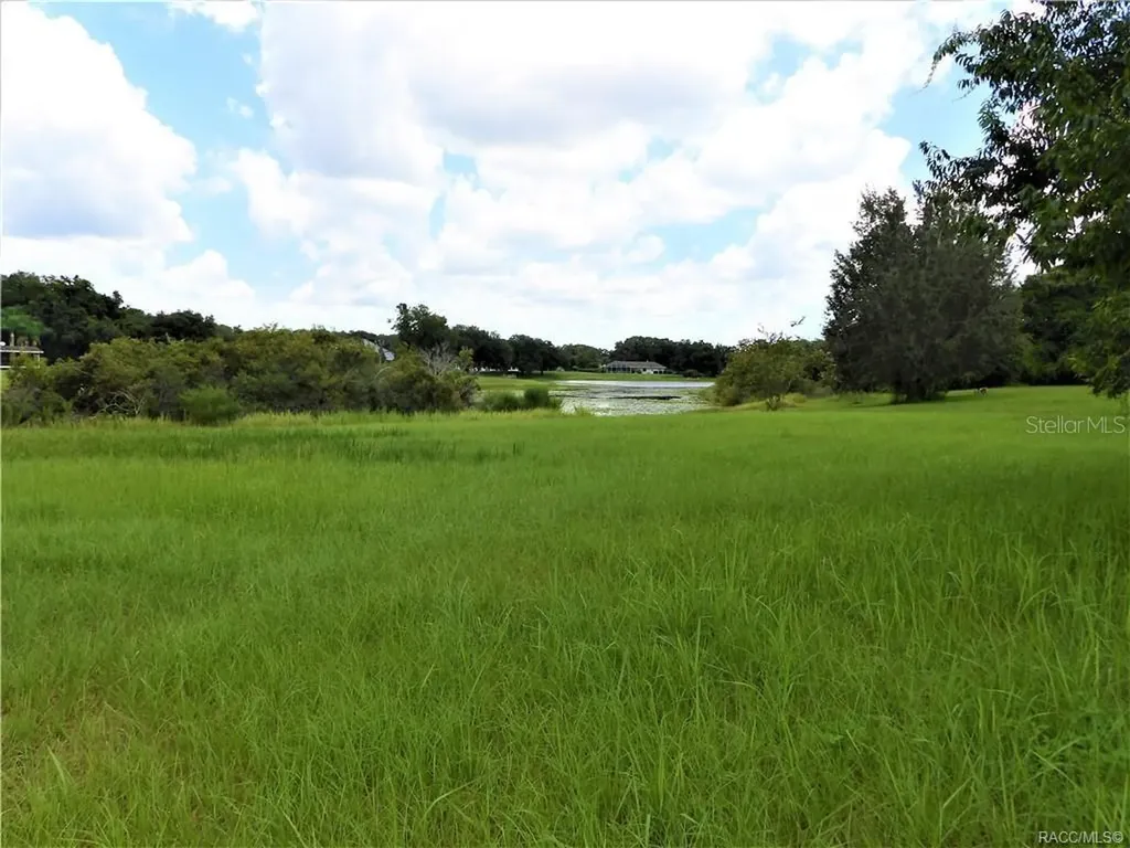 9546 E Baymeadows Drive Inverness FL 34450