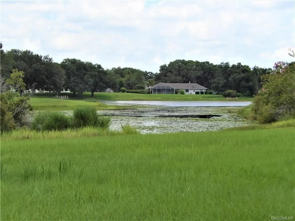 9546 E Baymeadows Drive Inverness FL 34450