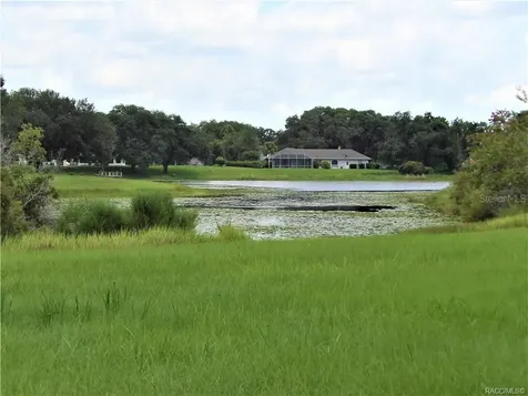 9546 E Baymeadows Drive Inverness FL 34450