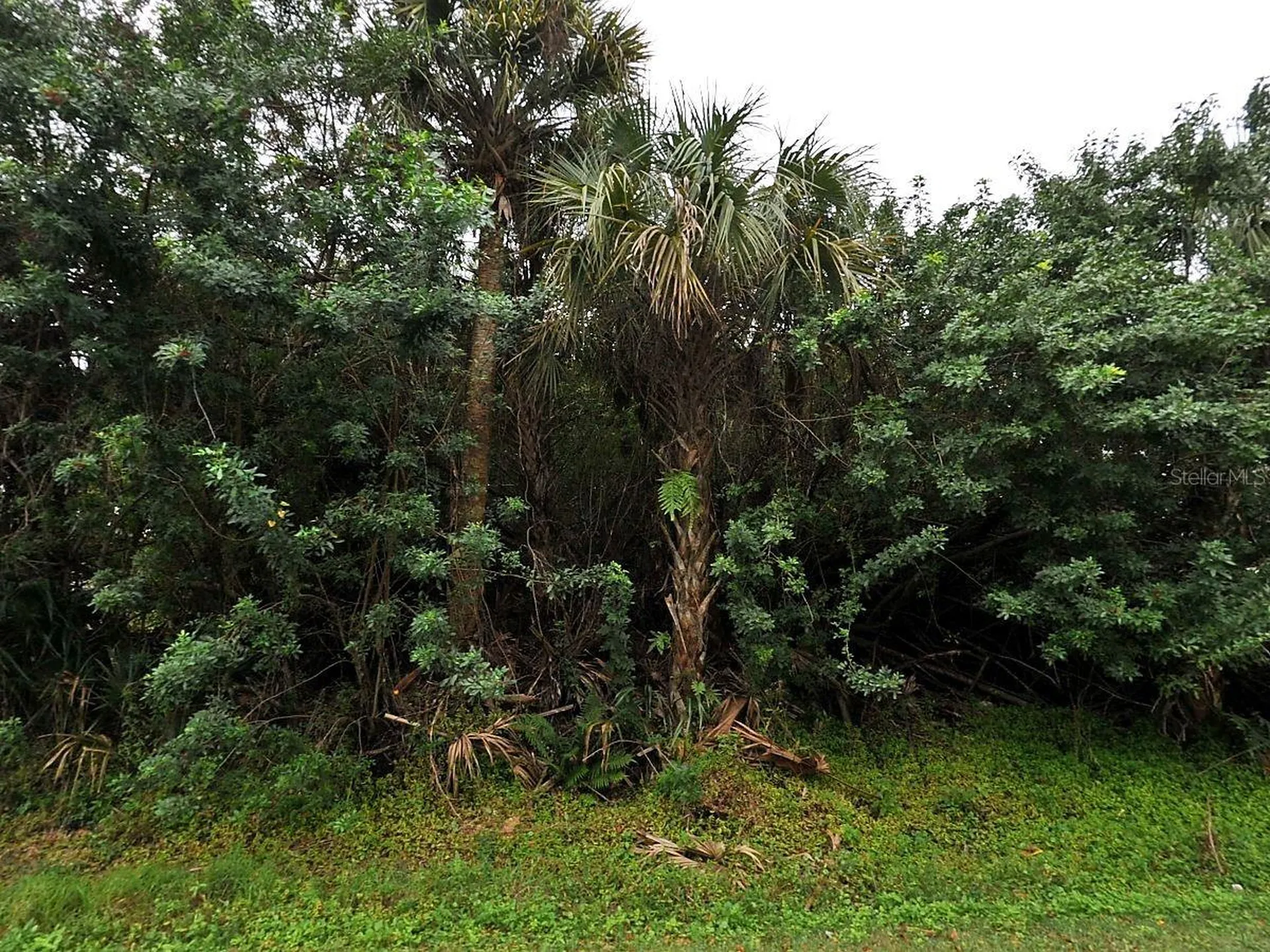 Champagne Avenue North Port FL 34287