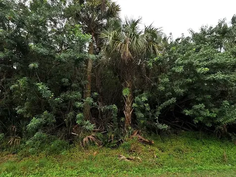 Champagne Avenue North Port FL 34287