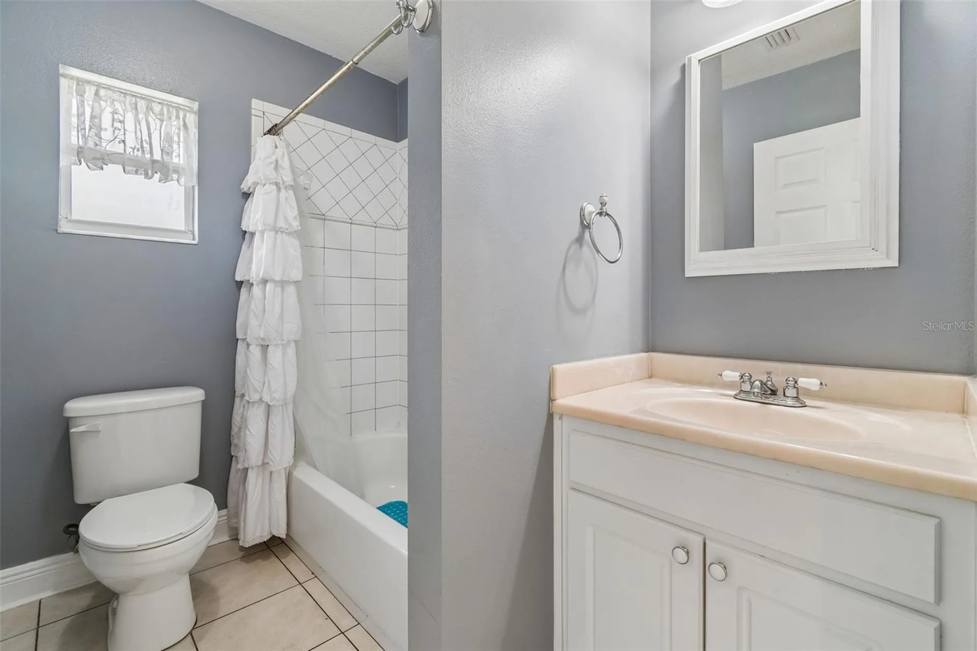 4009 Orangefield Place Valrico FL 33596