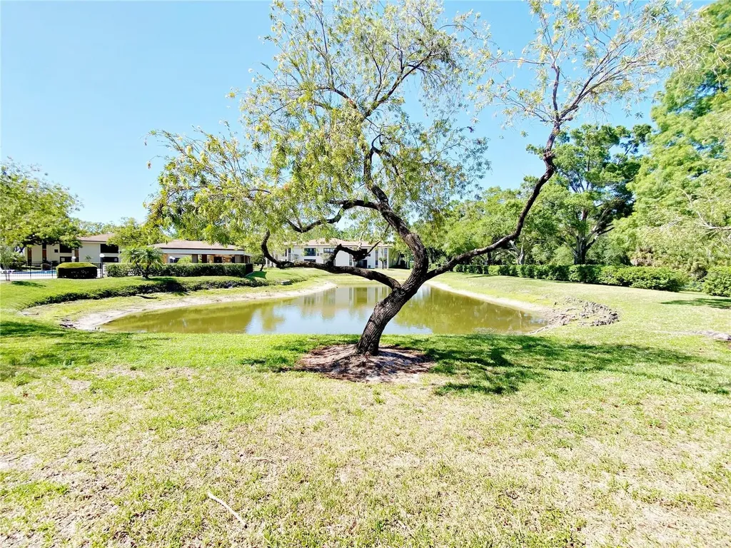 2700 Nebraska Avenue Palm Harbor FL 34684