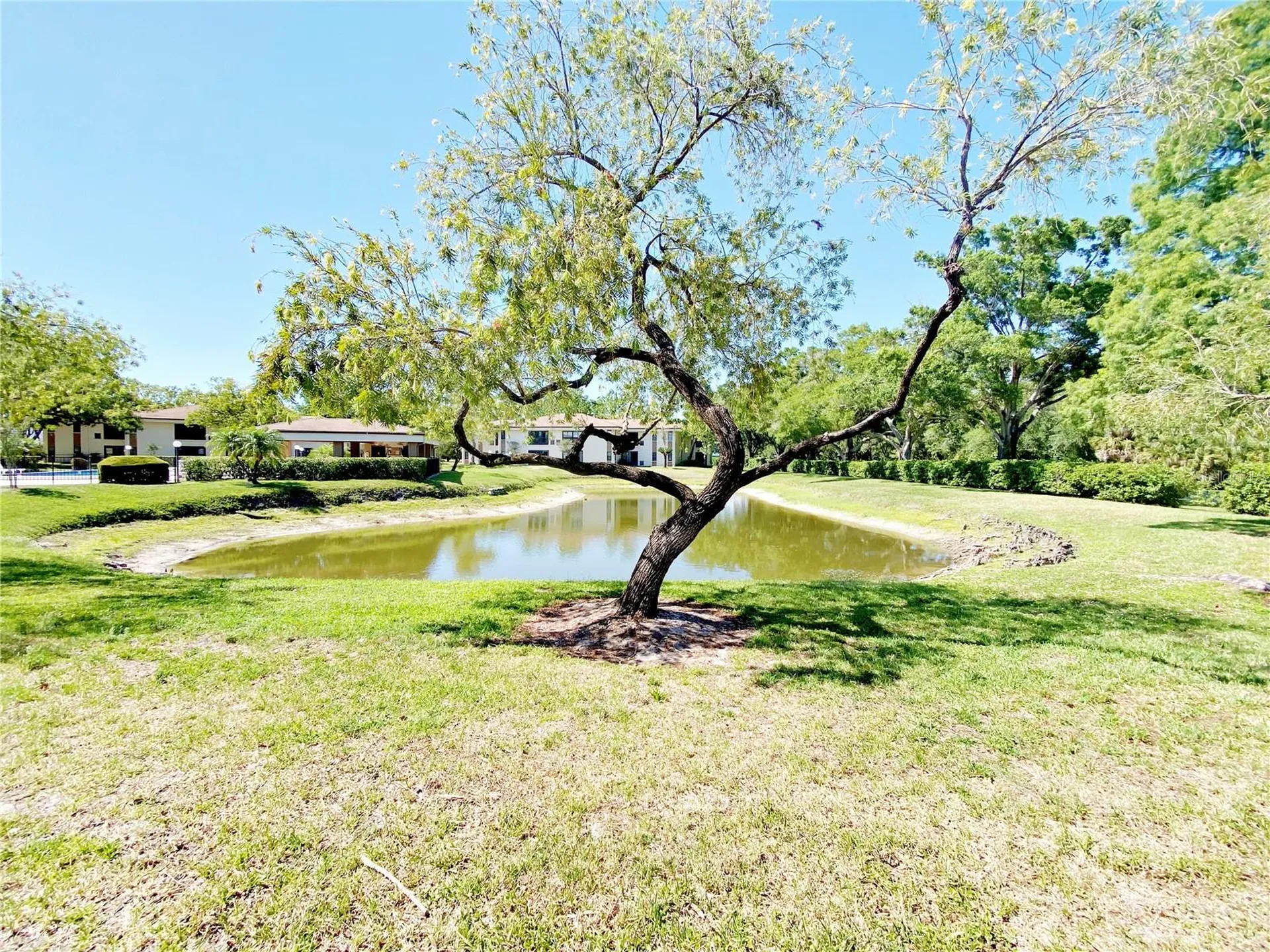 2700 Nebraska Avenue Palm Harbor FL 34684
