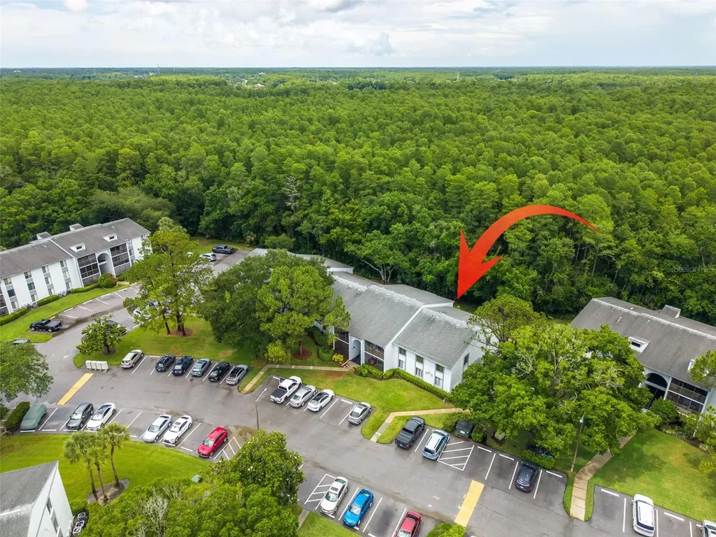 1326 Pine Ridge Circle E Tarpon Springs FL 34688