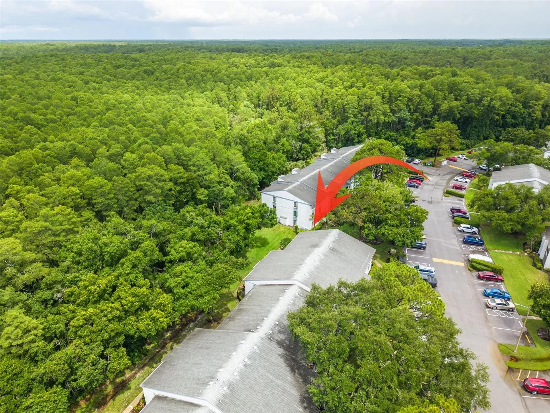 1326 Pine Ridge Circle E Tarpon Springs FL 34688