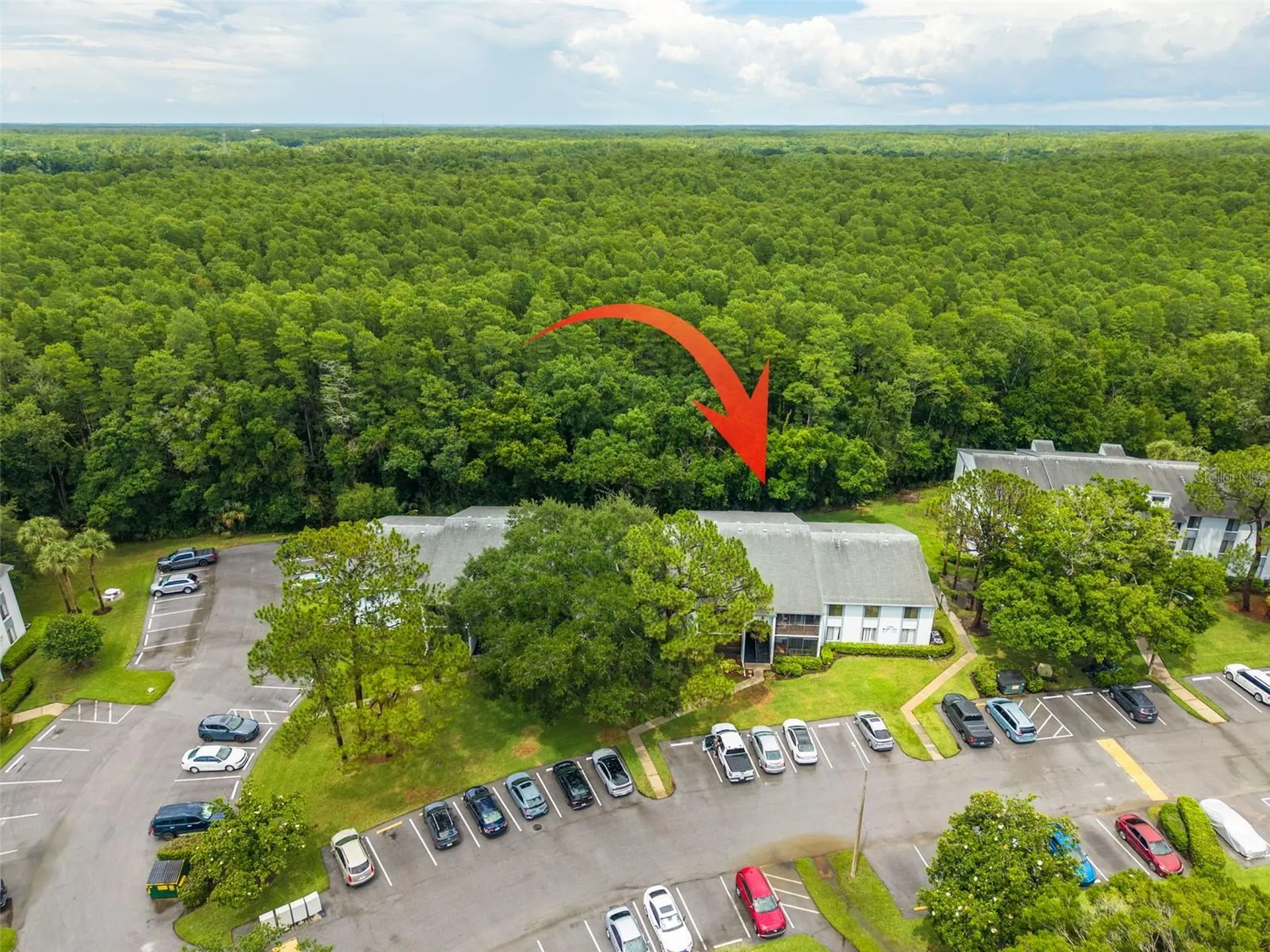 1326 Pine Ridge Circle E Tarpon Springs FL 34688