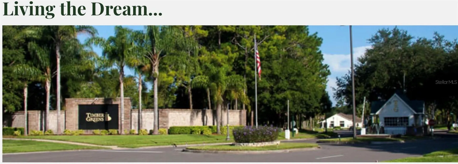 9519 Scenic Pine Court New Port Richey FL 34655