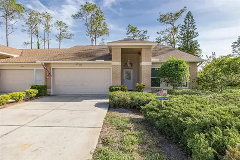 9519 Scenic Pine Court New Port Richey FL 34655