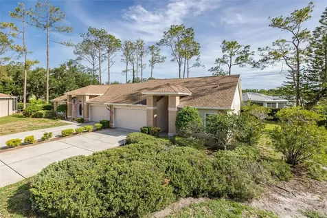 9519 Scenic Pine Court New Port Richey FL 34655
