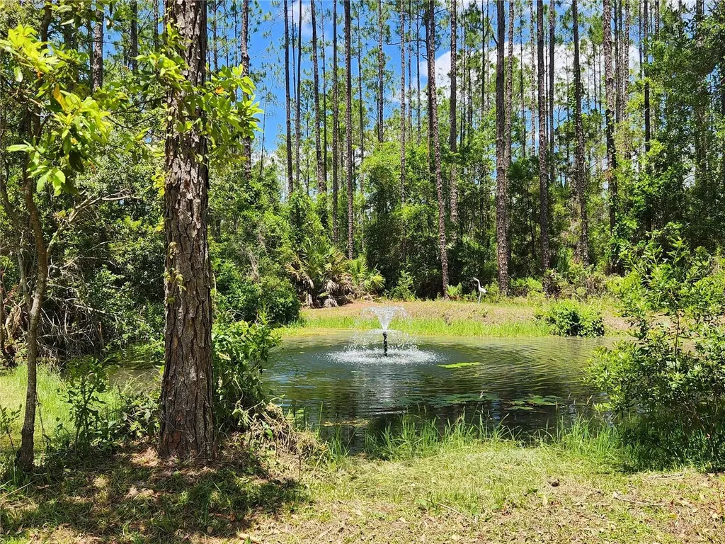 681 S County Road 315 Interlachen FL 32148