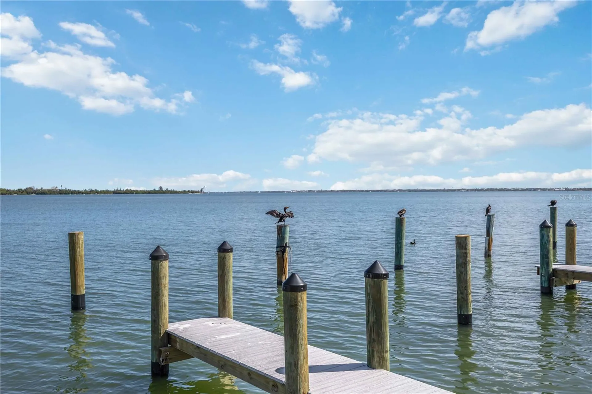 765 John Ringling Boulevard Sarasota FL 34236