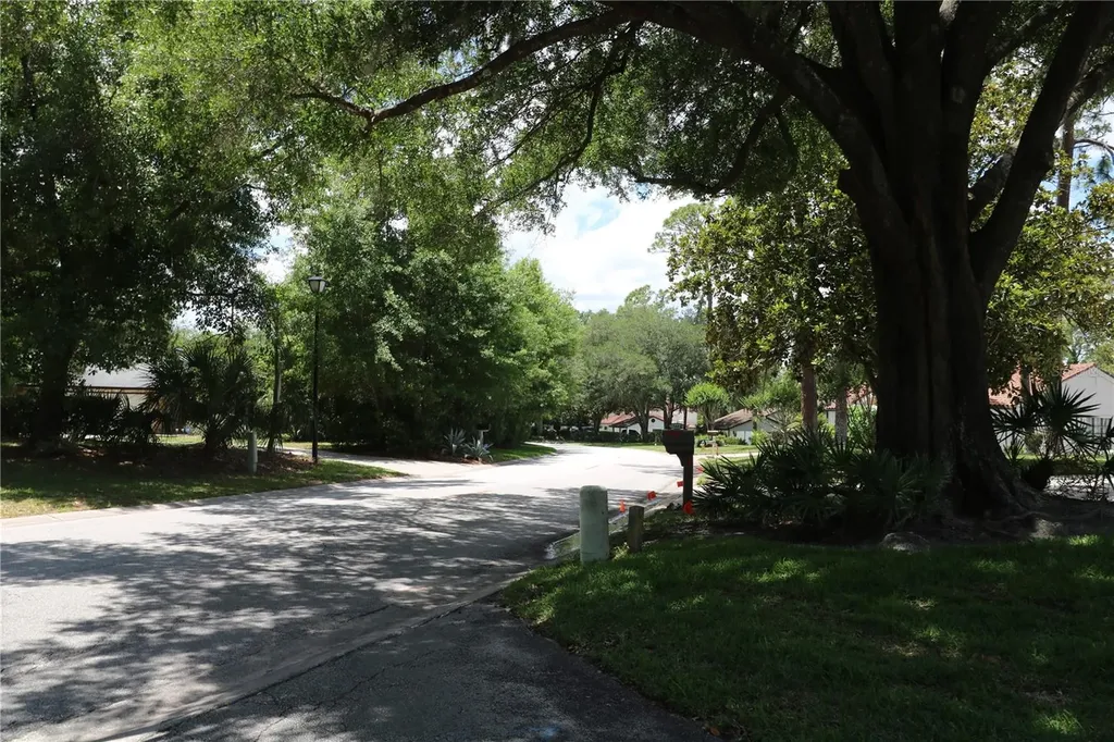 5439 Lady Bug Lane Wesley Chapel FL 33543