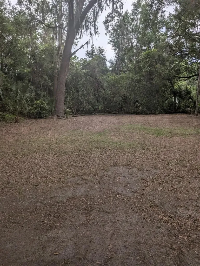 25007 NW 6th Avenue Newberry FL 32669