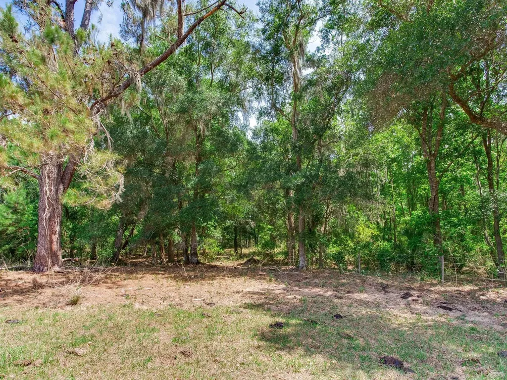 Spring Lake Highway Brooksville FL 34602