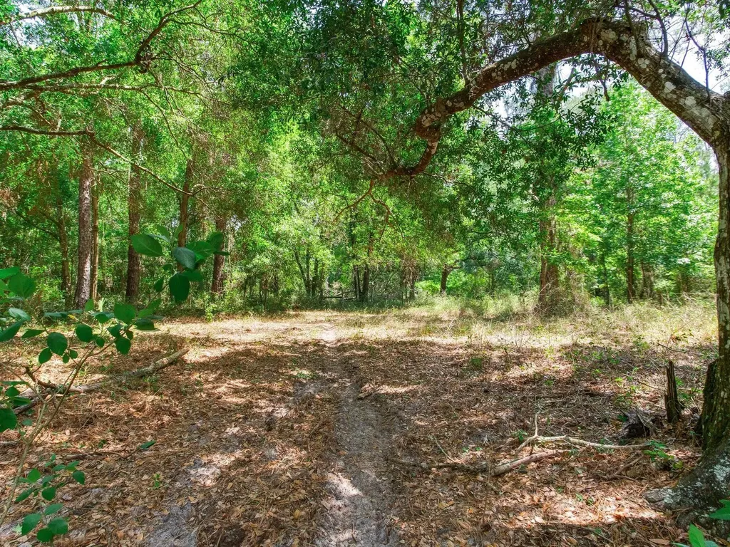 Spring Lake Highway Brooksville FL 34602