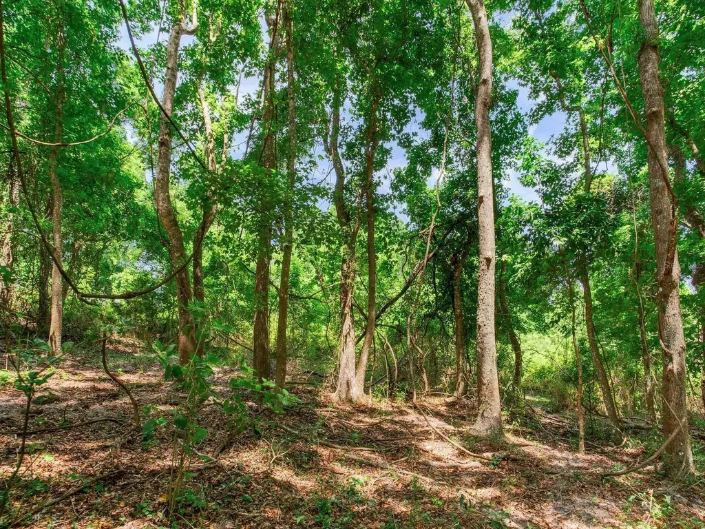 Spring Lake Highway Brooksville FL 34602