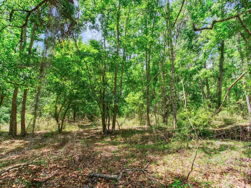 Spring Lake Highway Brooksville FL 34602