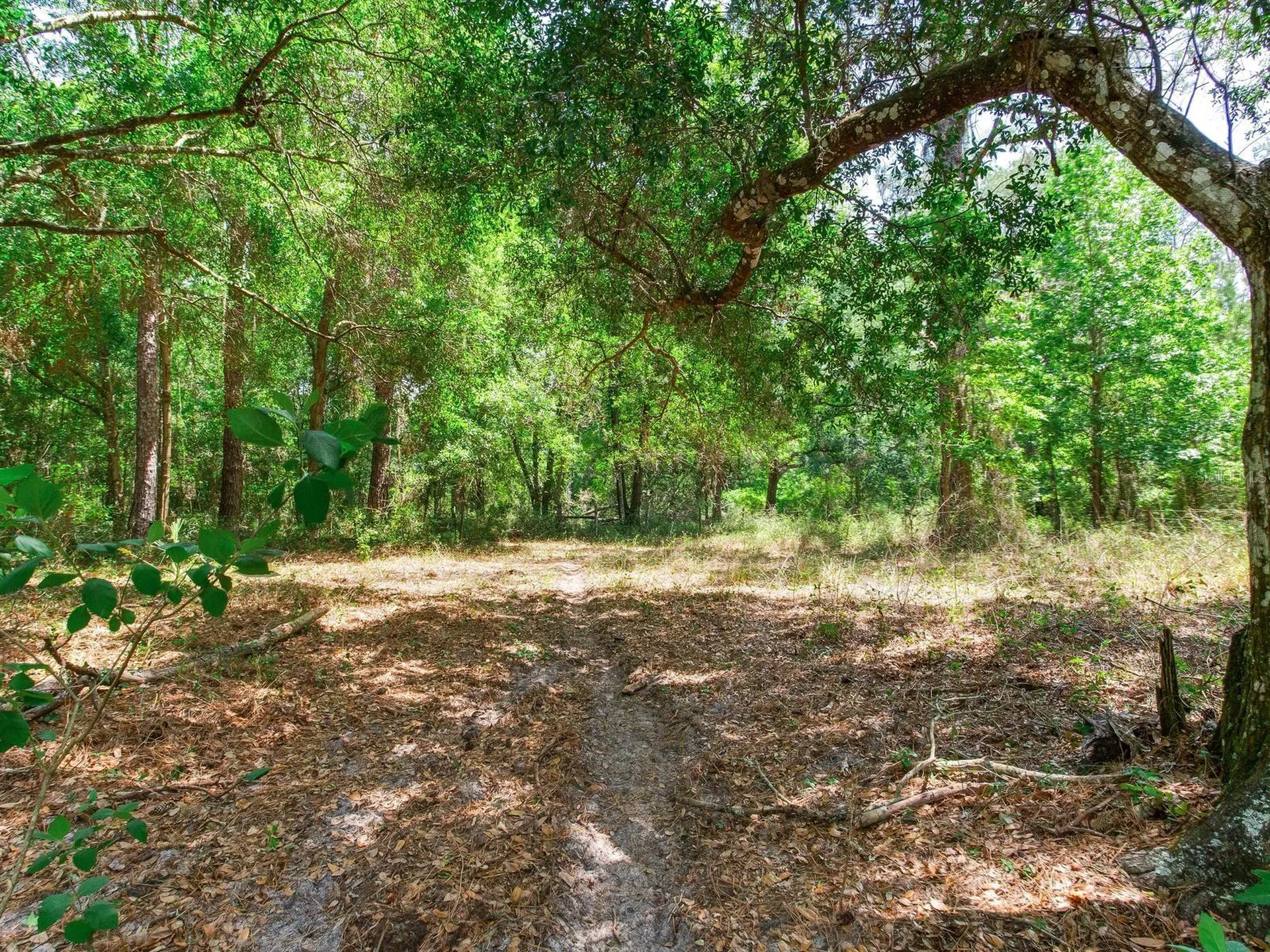 Spring Lake Highway Brooksville FL 34602