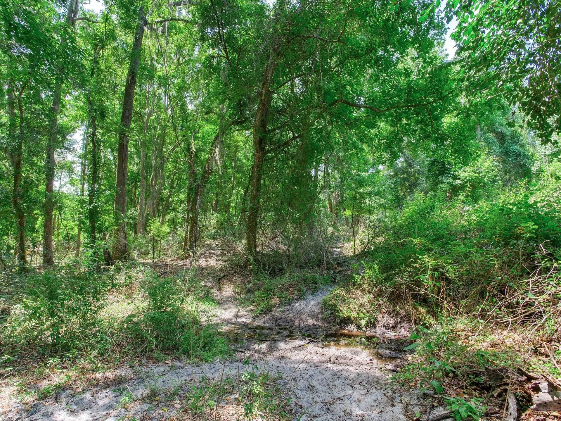 Spring Lake Highway Brooksville FL 34602