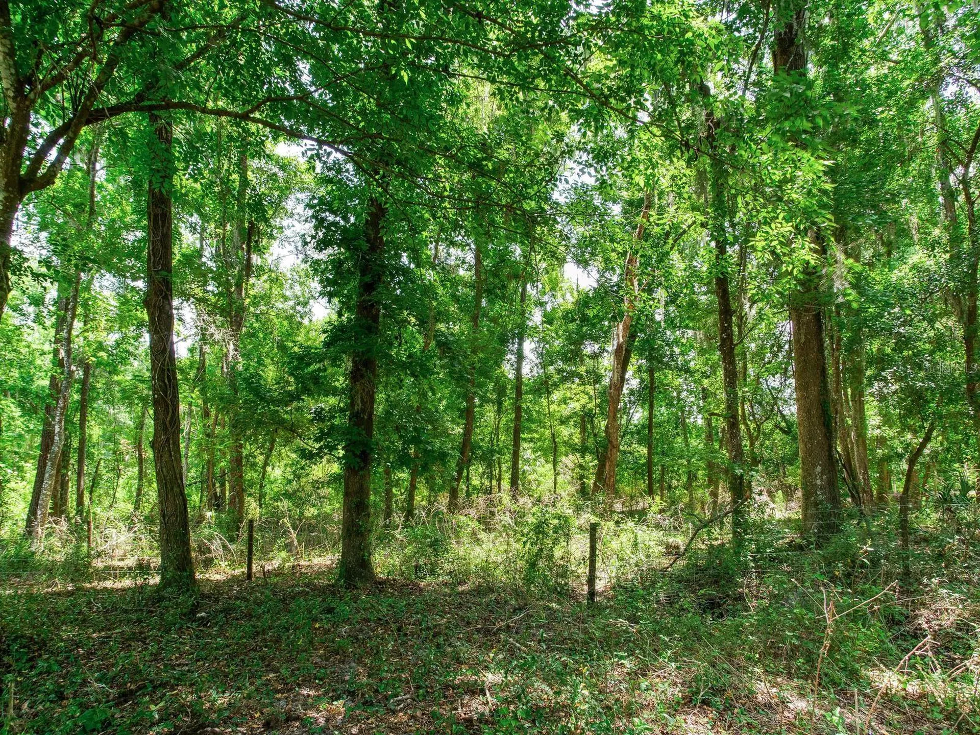 Spring Lake Highway Brooksville FL 34602