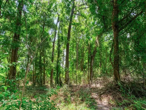 Spring Lake Highway Brooksville FL 34602