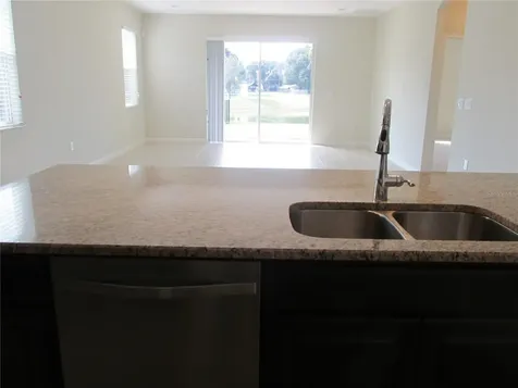 2404 Sabastian Street Mount Dora FL 32757