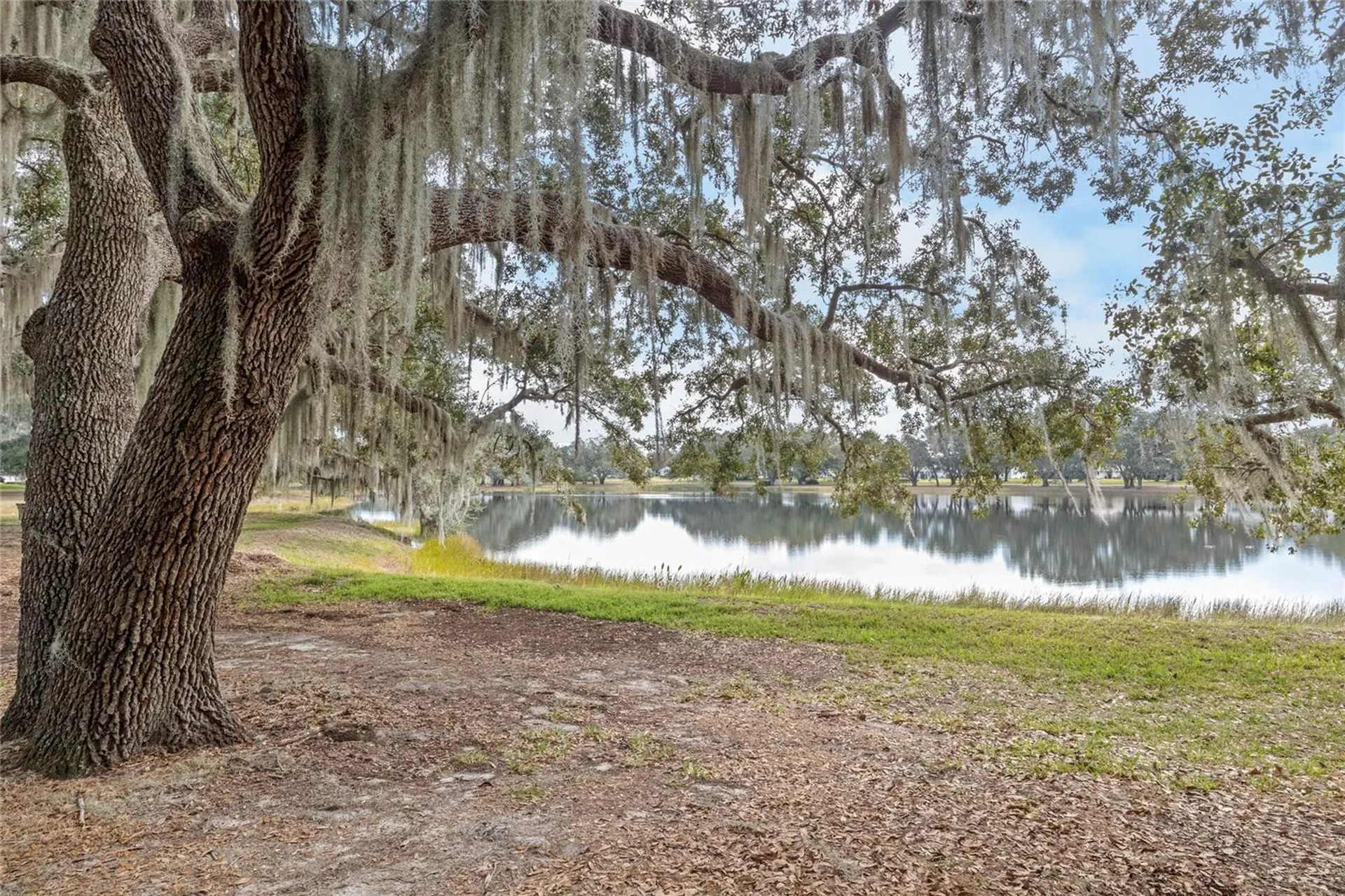 6419 Borg Street Leesburg FL 34748