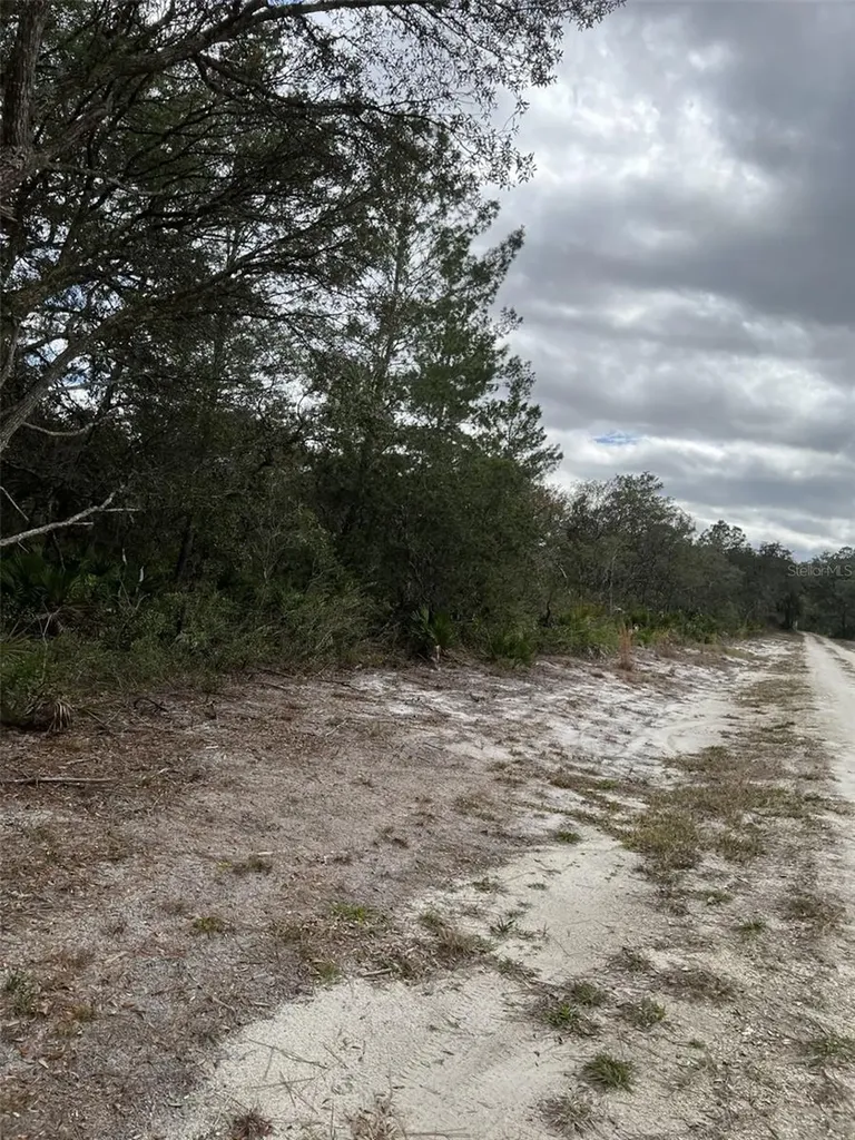 0 NE 144 Court Fort Mc Coy FL 32134