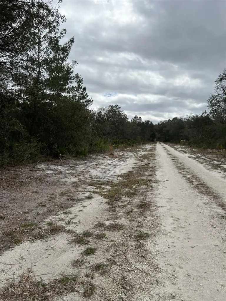 0 NE 144 Court Fort Mc Coy FL 32134