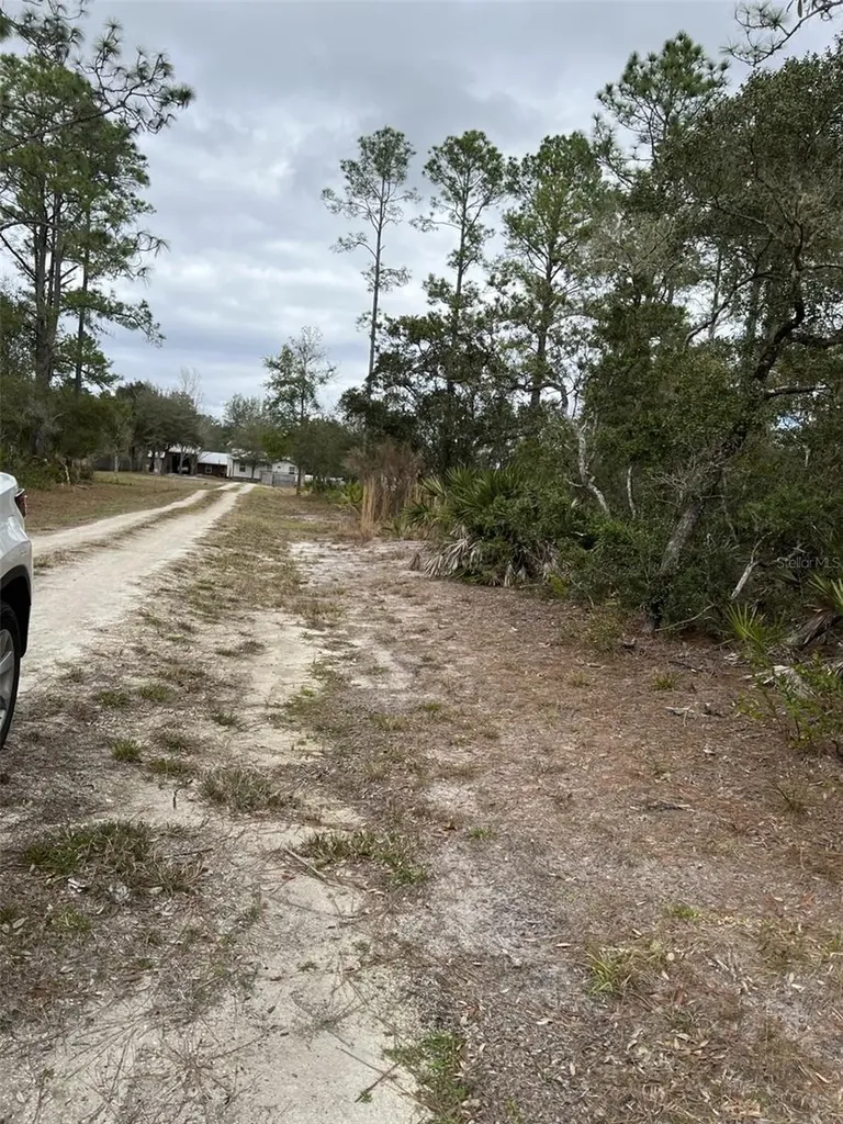0 NE 144 Court Fort Mc Coy FL 32134