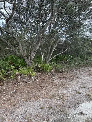0 NE 144 Court Fort Mc Coy FL 32134